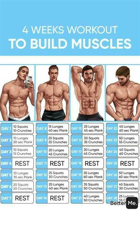 Best exercise plan to gain muscle. Things To Know About Best exercise plan to gain muscle. 
